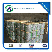 Hot Sale! Hot DIP/ Electric Galvanized Double Twist Barbed Wire